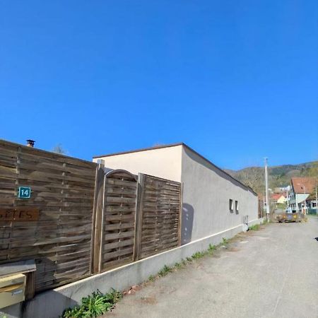 Aparthotel Ikigai Muhlbach-sur-Munster Exterior foto